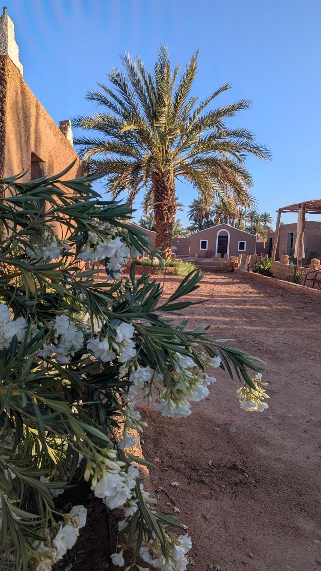 Kasbah Desert Camp マハミド エクステリア 写真