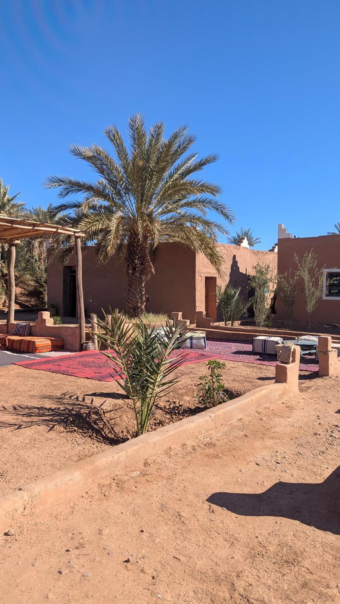 Kasbah Desert Camp マハミド エクステリア 写真
